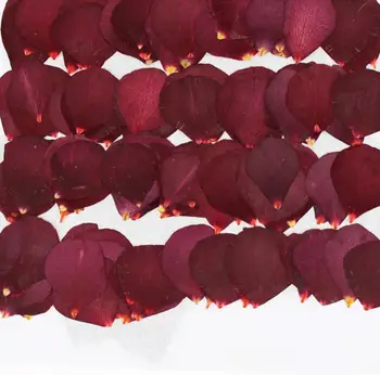 120pcs Secas Pressionado Flor de pétalas de Rosa Para Resina Epóxi Pingente de Colar de Jóias que faz Artesanato DIY Acessórios
