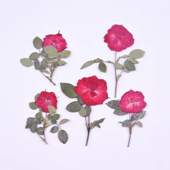 12pcs/5-8cm,Natureza Pressionado Rosas Vermelhas com Flores ramo,DIY convites de Casamento Artesanais Marcador Dom Cartões de telefone caso decoração