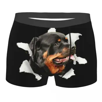 Masculino Legal Rottweiler Meme Cueca Boxer Briefs Homens Macio Shorts Calcinhas Cuecas
