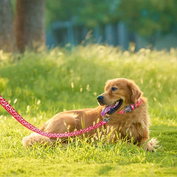 Novo design reflexivo trela do cão de estimação de treinamento ao ar livre correia trela do cão cabo de segurança