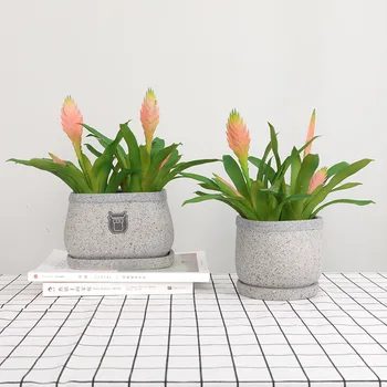Artificial de plantas suculentas folhas de abacaxi, flores em vaso de planta de casa de decoração de mesa de escritório
