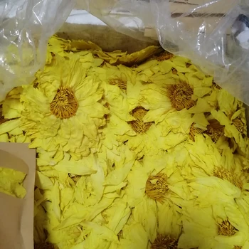 50g/100g Natural Seco Orgânico amarelo Lotus Secas Toda a Flor Nymphaea Caerulea