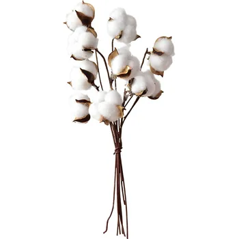 Branco 9 hastes natural seca flor de algodão ramos artificial ramos de algodão Frete Grátis