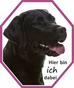 Para Petsigns carro Labrador adesivo incluído!, 15 cm x 12,5 cm