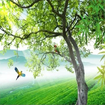 Natureza verdejante paisagem papéis de parede de sala de TV na parede do fundo belas paisagens, papéis de parede