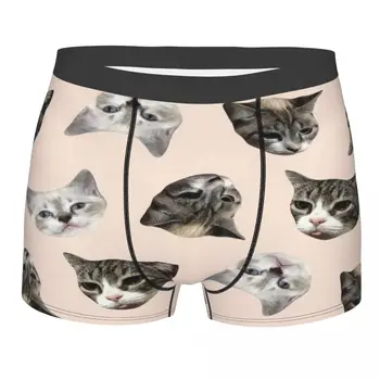 Homens Engraçados Do Gato Boxer Shorts, Cuecas Roupa Interior Respirável Bonito Da Vaquinha Masculina Sexy Plus Size Cuecas